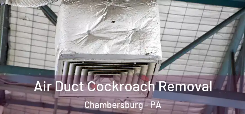  Air Duct Cockroach Removal Chambersburg - PA