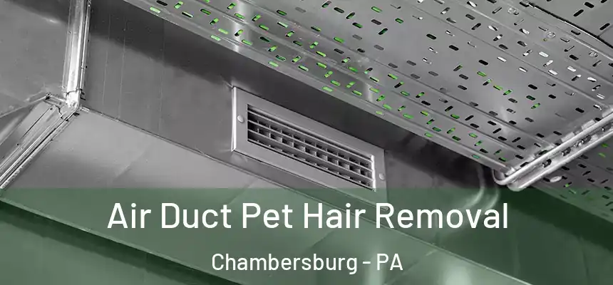  Air Duct Pet Hair Removal Chambersburg - PA