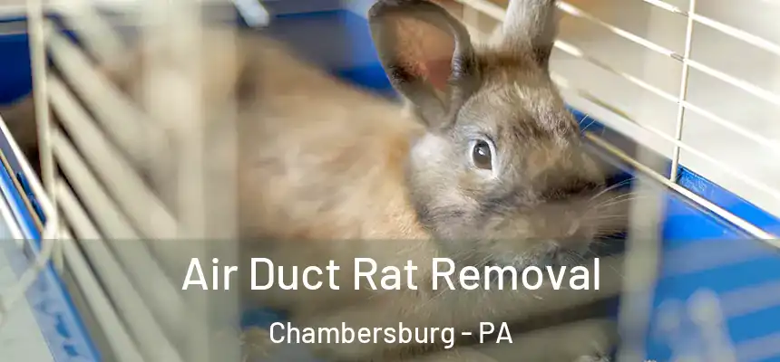  Air Duct Rat Removal Chambersburg - PA