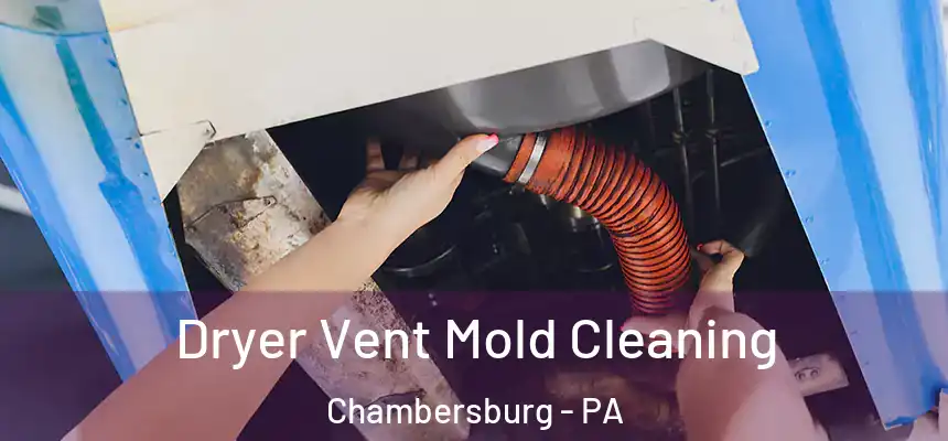  Dryer Vent Mold Cleaning Chambersburg - PA