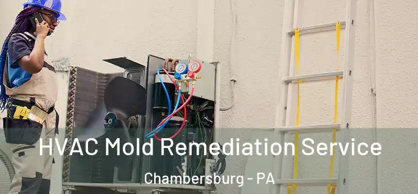  HVAC Mold Remediation Service Chambersburg - PA