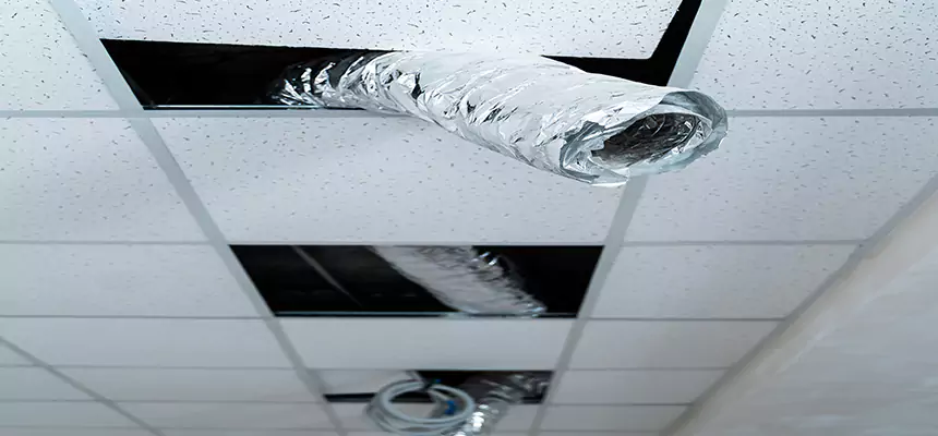 Our Air Duct Pet Hair Removal Services in Chambersburg, PA