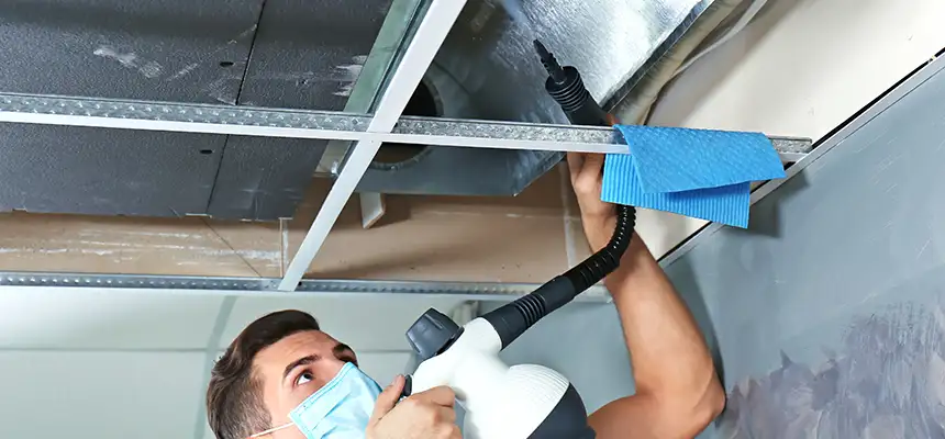 Our Air Duct Rodent Removal Services in Chambersburg, PA