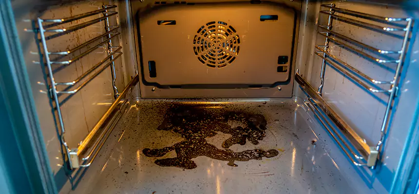 Our Dryer Vent Mold Cleaning Services in Chambersburg, PA