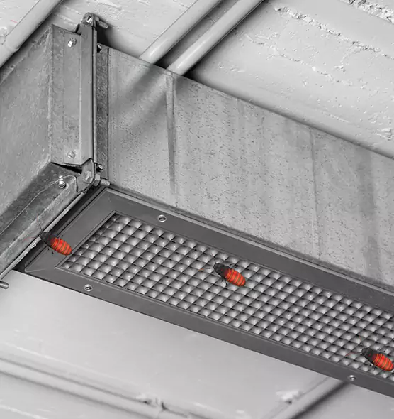 About Air Duct Cockroach Removal in Chambersburg, PA