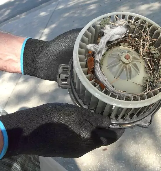 About Air Duct Mice Removal in Chambersburg, PA