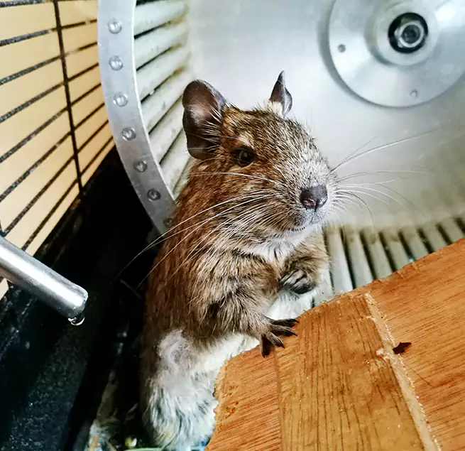 Why Homeowners & Businesses Trust Us Chambersburg, PA